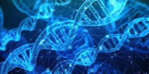 Canva - free DNA
